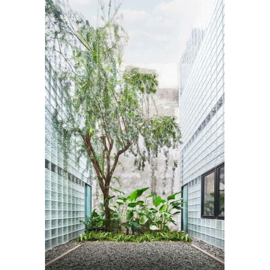 Gạch Kính Lấy Sáng Sọc Đũa