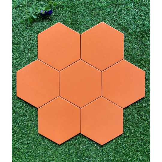 Gạch Lục Giác 20x23cm Màu Cam San Hô LG 23203