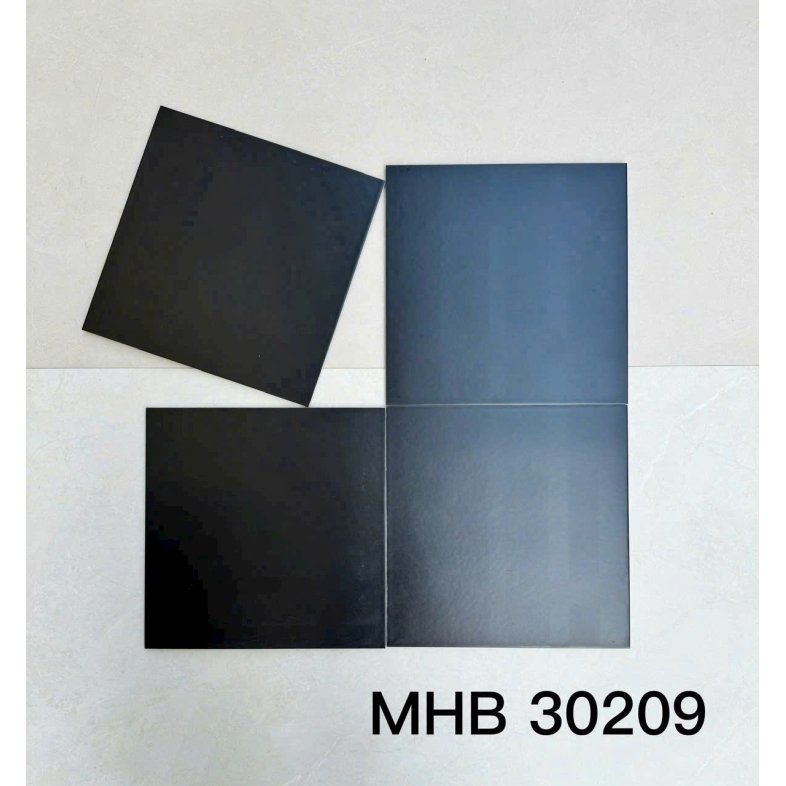 GẠCH BÔNG CỔ ĐIỂN ĐEN TUYỀN GB 30209